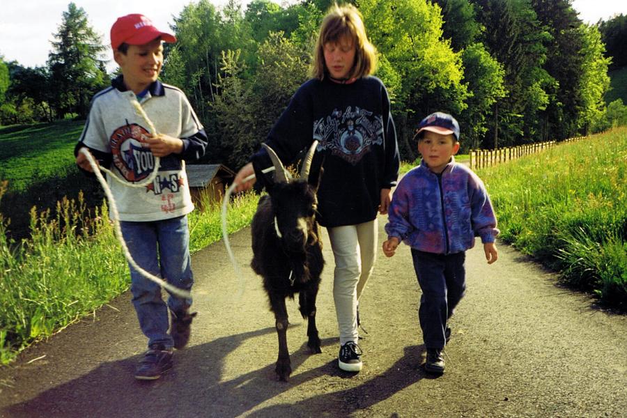 Kinder lieben Tiere am Bauernhof