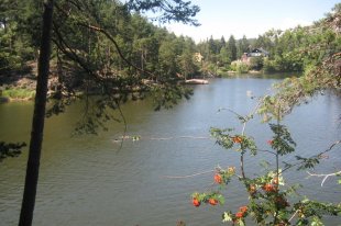 Wolfsgrubenersee