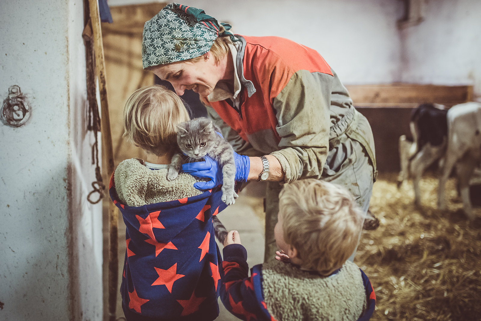 Kätzchen im Kuhstall mit Kindern und Bauern