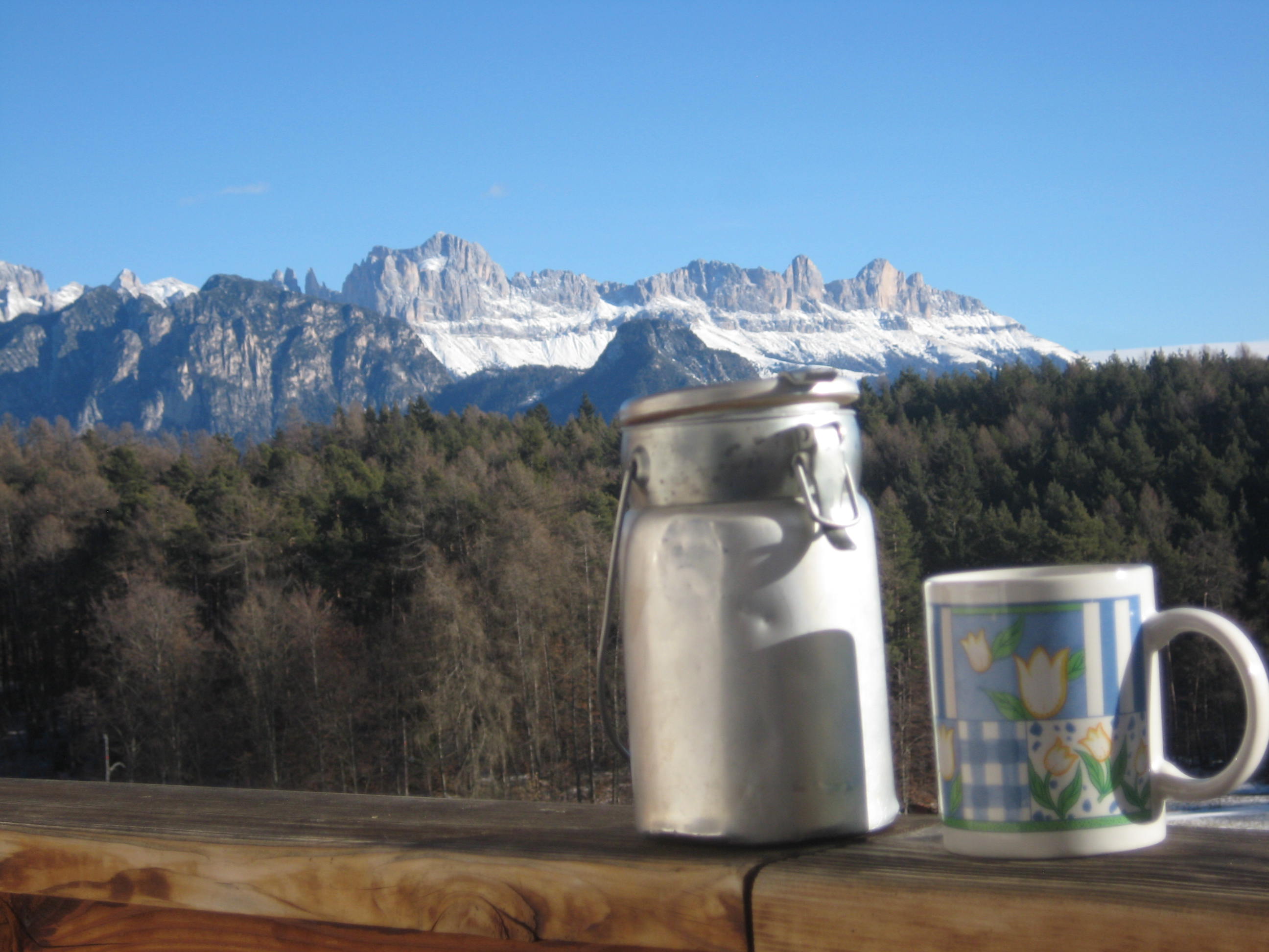 Bergmilch