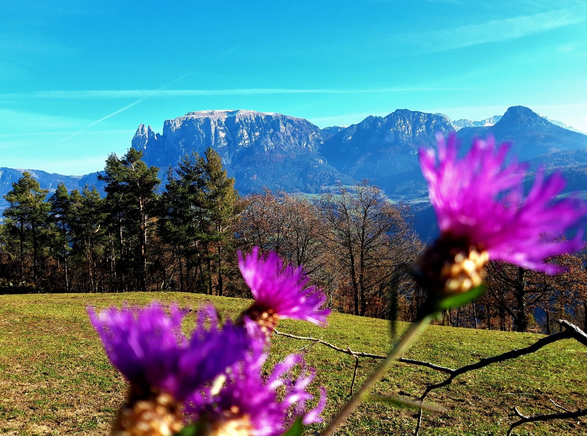 Schönheit Natur